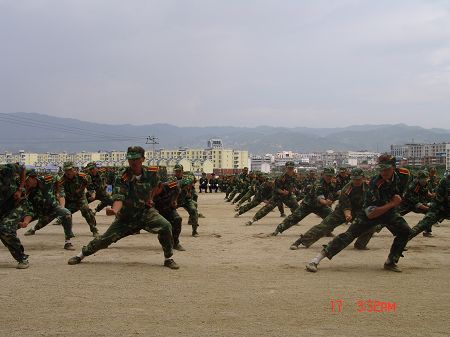 军体拳